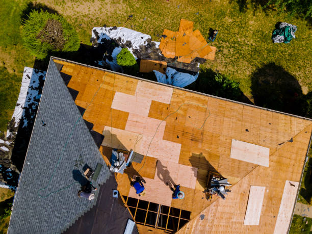 Best Roof Maintenance Services  in Bolivar, OH