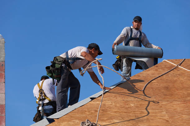 Best Roof Gutter Cleaning  in Bolivar, OH